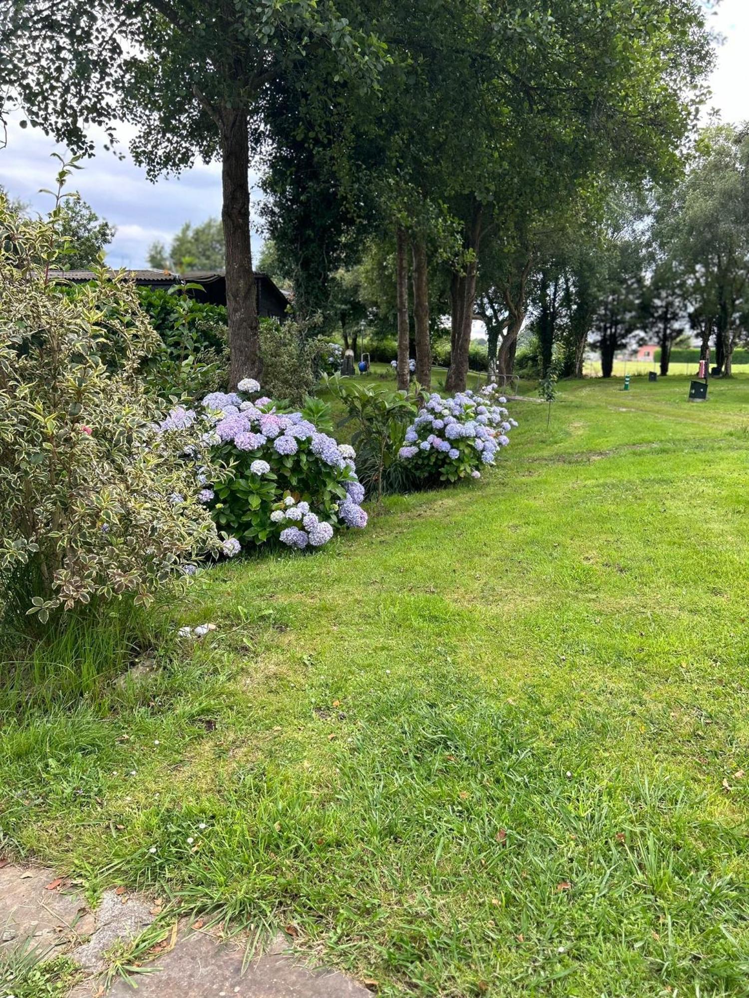 Camping A Grandella El Franco Εξωτερικό φωτογραφία